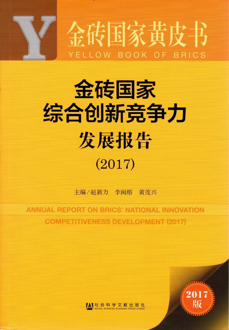 大黑屌在线视频金砖国家综合创新竞争力发展报告（2017）